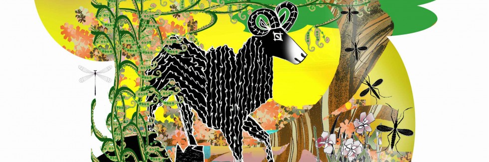 Ram