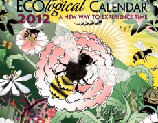 2012 ECO<em>logical</em> Calendar