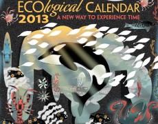 2013 ECO<em>logical</em> Calendar