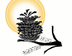 ECO-Knowledge Game 2