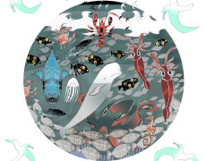 ECO-Knowledge Game 1