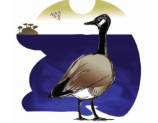 Changing the Tide in the Summer Heat