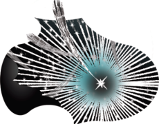 The Perseids are Coming Tonight!